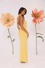 Meadow Daze Halter Maxi Dress Yellow